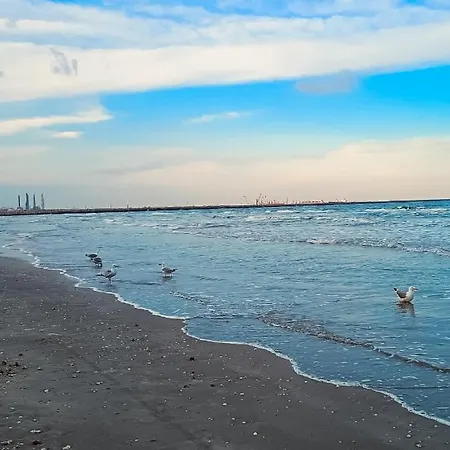 Apartment Ola's Mamaia Nord *